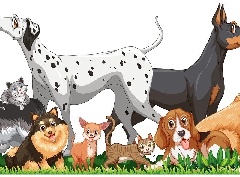 a cartoon picture of different types of dogs