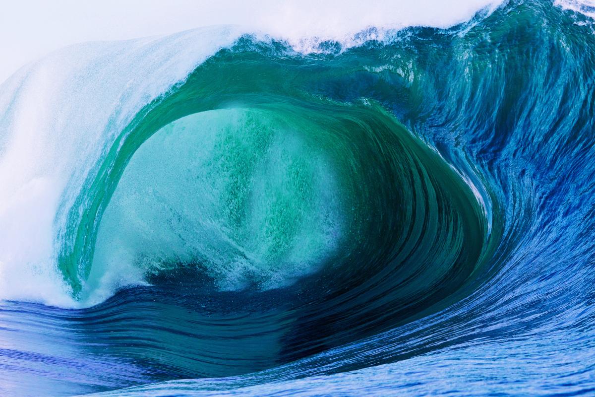 Riding the Eternal Wave: Koa’s Legendary Surf